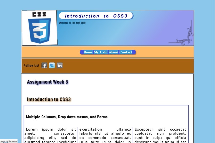 css3 demo